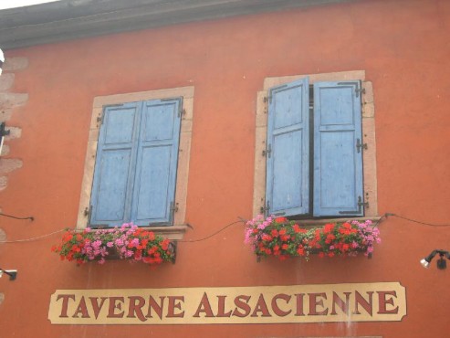 kliknutm na fotografii se dostanete zpt do galerie