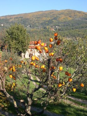 kliknutm na fotografii se dostanete zpt do galerie