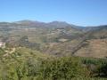 vinice u reky Douro