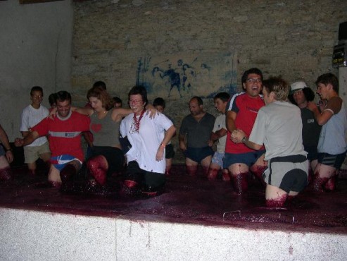 kliknutm na fotografii se dostanete zpt do galerie