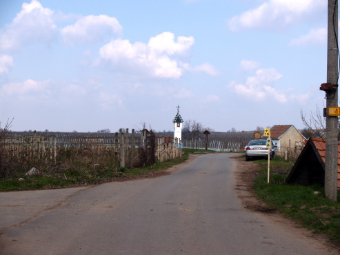 kliknutm na fotografii se dostanete zpt do galerie
