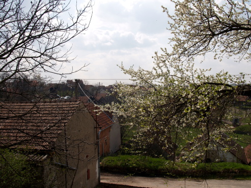 kliknutm na fotografii se dostanete zpt do galerie