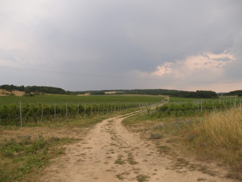 kliknutm na fotografii se dostanete zpt do galerie