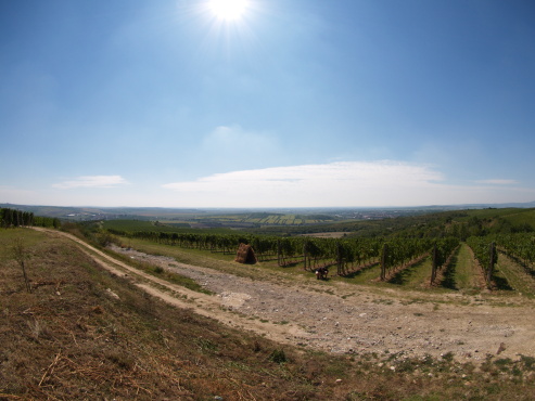 kliknutm na fotografii se dostanete zpt do galerie
