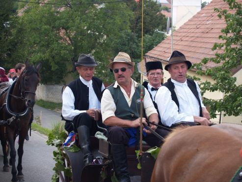 kliknutm na fotografii se dostanete zpt do galerie