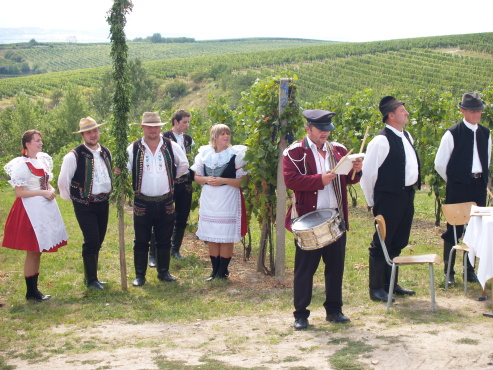 kliknutm na fotografii se dostanete zpt do galerie