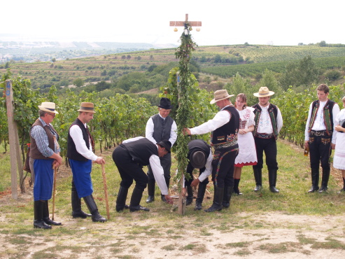 kliknutm na fotografii se dostanete zpt do galerie