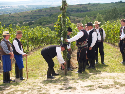 kliknutm na fotografii se dostanete zpt do galerie