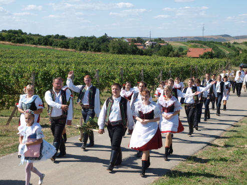 kliknutm na fotografii se dostanete zpt do galerie