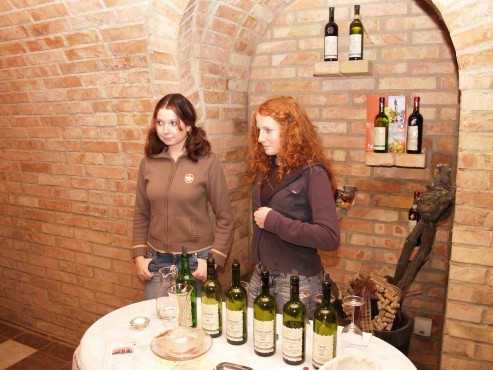 kliknutm na fotografii se dostanete zpt do galerie