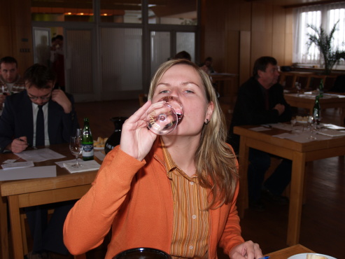 kliknutm na fotografii se dostanete zpt do galerie